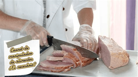 Cours de &laquo;&nbsp;manipulador de alimentos&nbsp;&raquo;